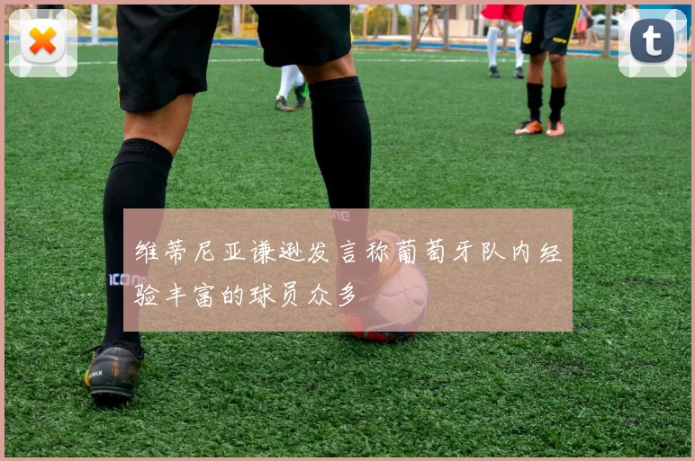 维蒂尼亚谦逊发言称葡萄牙队内经验丰富的球员众多